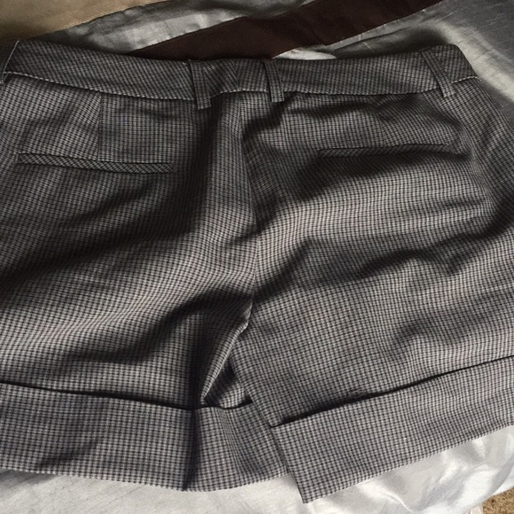 Express Shorts - Picture 3 of 3